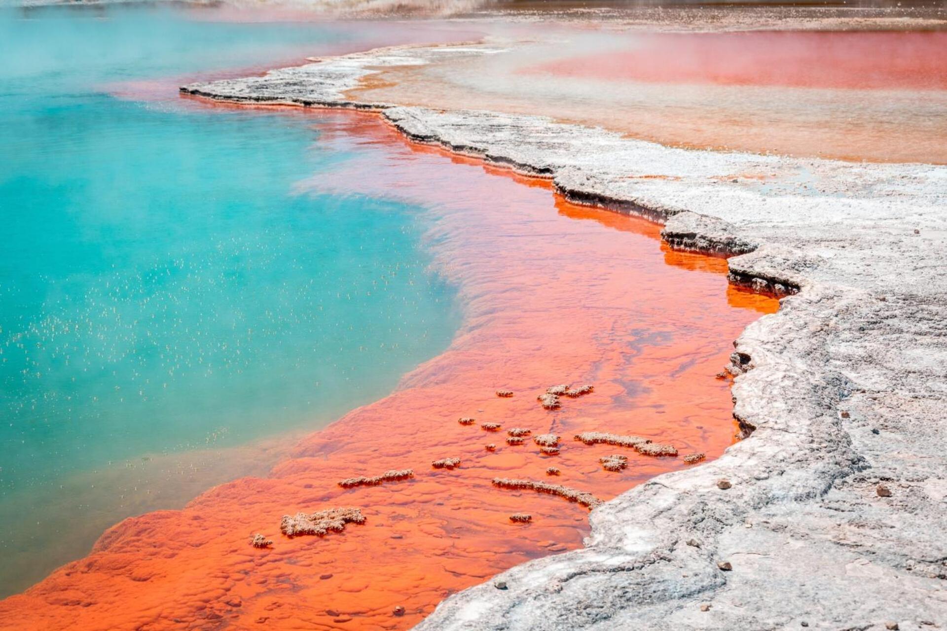Tasman Holiday Parks - Rotorua Luaran gambar